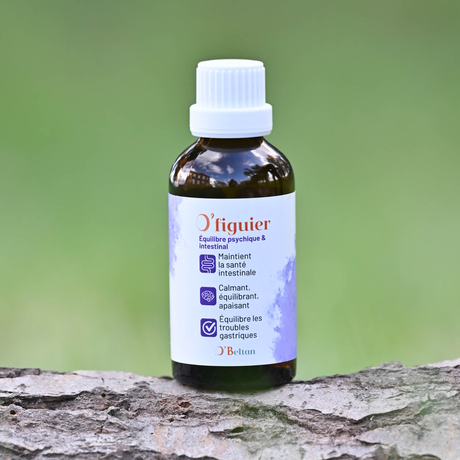 bourgeon de figuier cheval gemmothérapie équilibre digestif O'Beltan