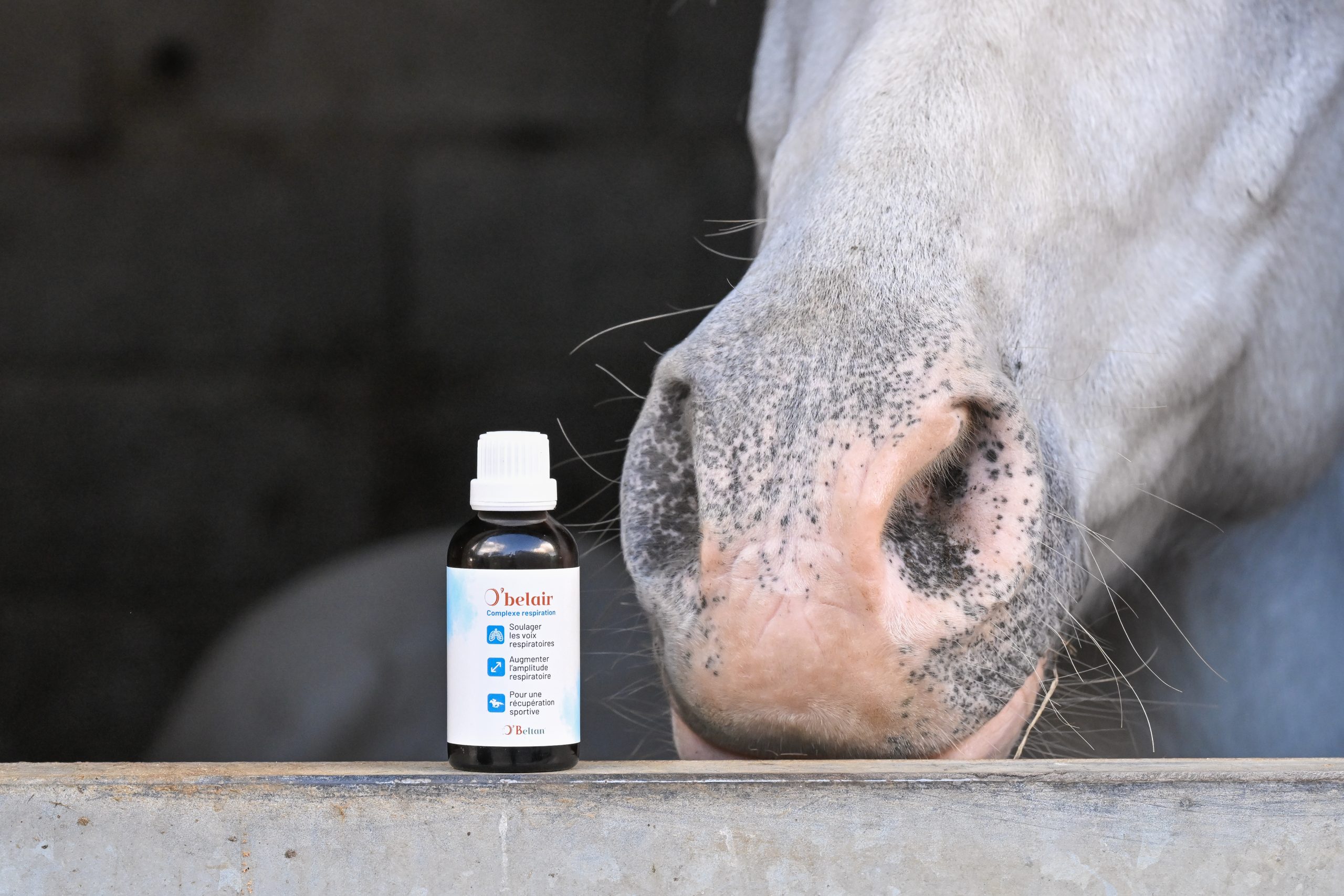 O'Belair gemmotherapie cheval O'beltan