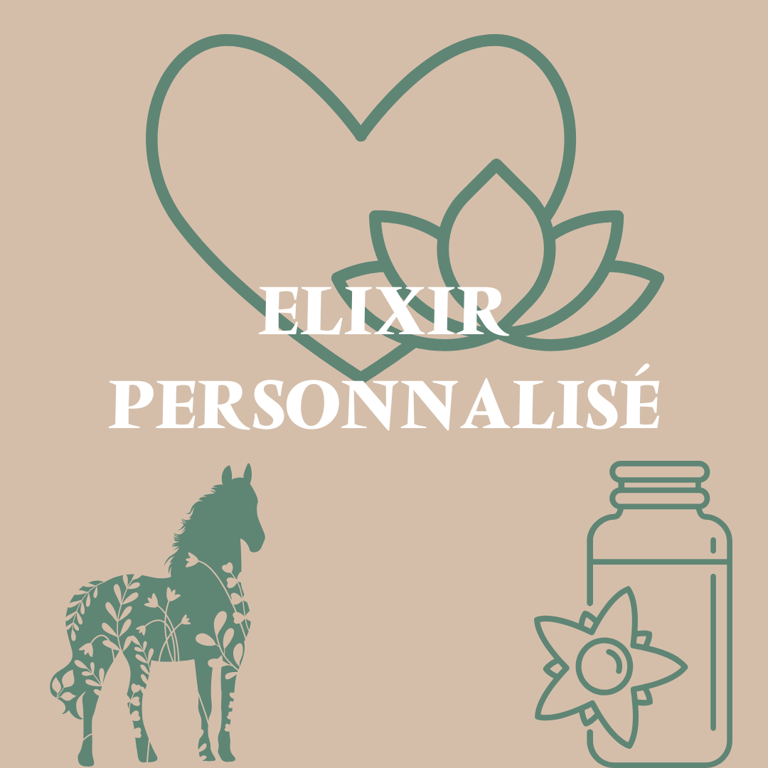 elixir floral cheval personnalise Fleurs de Bach O'Beltan
