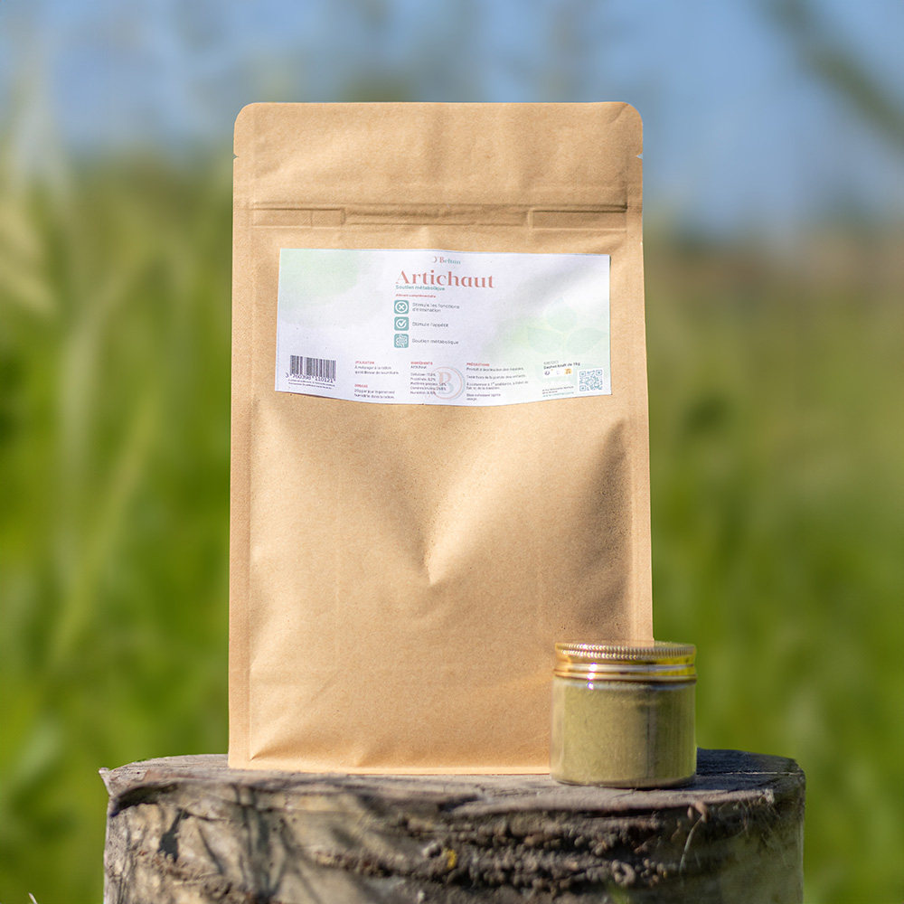 artichaut cheval détox foie reins plante pure O'Beltan