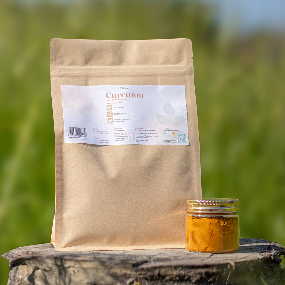 curcuma cheval anti-inflammatoire naturel plante pure O'Beltan