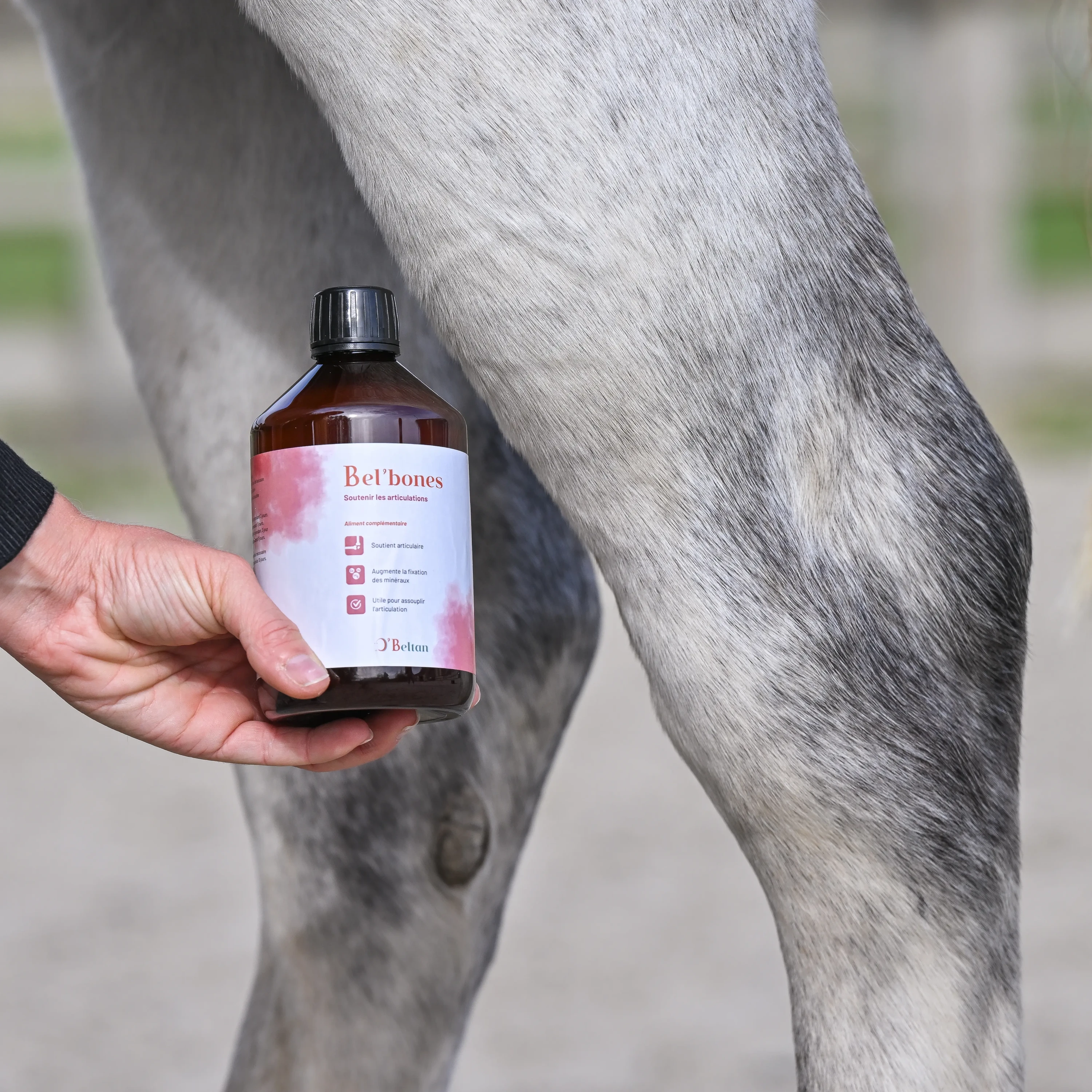 complément articulaire cheval naturel Bel'bones O'Beltan