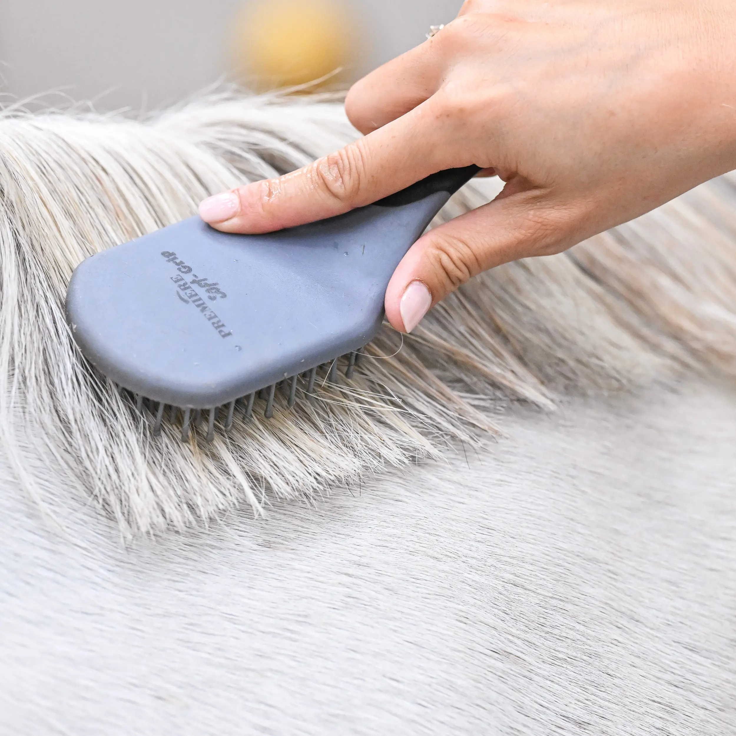 Bel'joly démêlant crins chevaux
