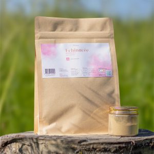 Échinacée