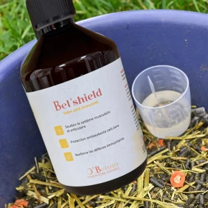 Bel&rsquo;shield
