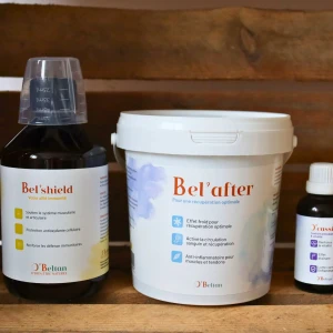 O&rsquo;Récupération