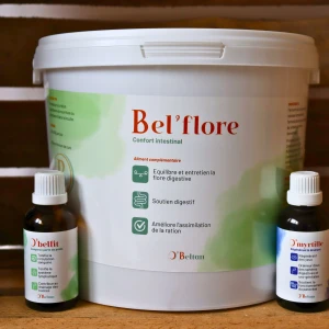 O’Equilibre Métabolique