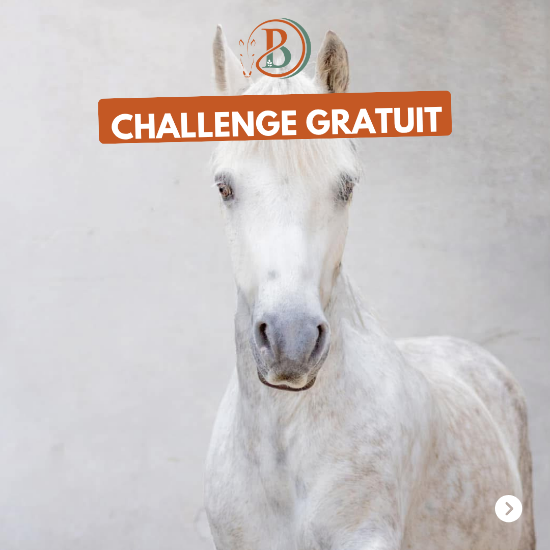 challenge naturo gratuit